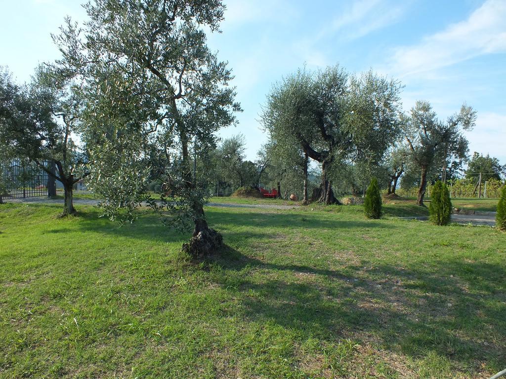 Agriturismo Ai Mandrioli Lastra a Signa Ngoại thất bức ảnh