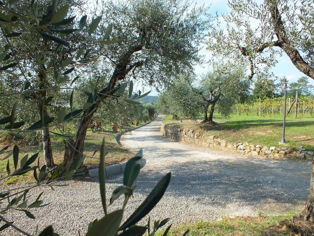 Agriturismo Ai Mandrioli Lastra a Signa Ngoại thất bức ảnh
